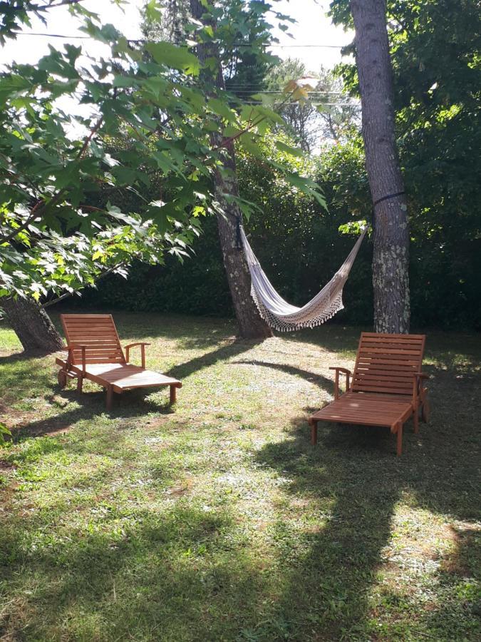Gite Ma Vie La 3 Etoiles, Jacuzzi, Animaux Acceptes Saint-Julien-de-Cassagnas Exterior photo
